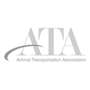 ATA Logo