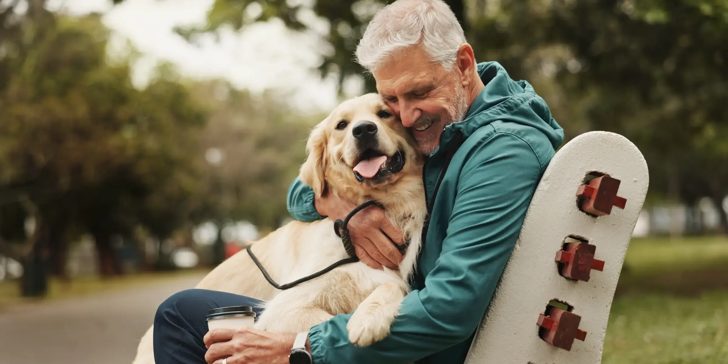 Park, senior man and dog with hug for bonding, fitness break and companion in retirement outdoor. Male person, happy owner and care for golden retriever as animal, friendly pet and loyalty on bench.