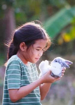 Asian child girl holding and hugging her adorable bunny fluffy with tenderness and love. Kid take care and play with pet in the garden. Symbol of Easter day.